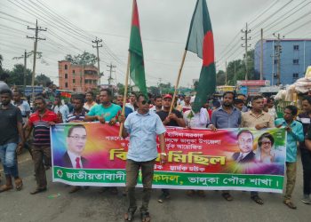 ভালুকায় বিএনপির বিজয় মিছিল।