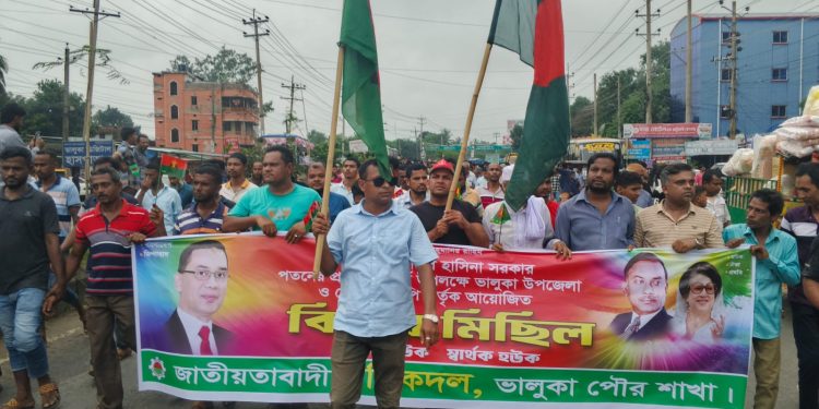 ভালুকায় বিএনপির বিজয় মিছিল।