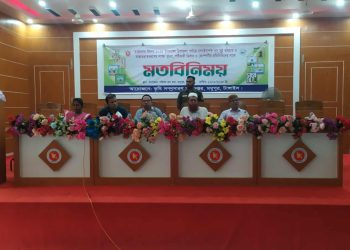 আনারসে ক্ষতিকর রাসায়নিক ব্যবহারকারিদের খুনি বললেন ইউএনও।