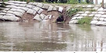 বগুড়ার শেরপুরে করতোয়া নদীর পানির চাপে ধসে পড়ছে সড়ক।