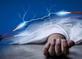 বগুড়ার শেরপুরে গরুর ঘাস কাটতে গিয়ে বিদ্যুৎস্পৃষ্ট হয়ে নারী নিহত।