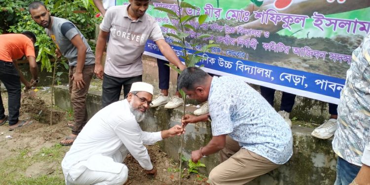 নাকালিয়া সাঁড়াশিয়া বণিক উচ্চ বিদ্যালয়ে বৃক্ষরোপণ ও র্যালী অনুষ্ঠিত।