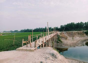 জামালপুরের মাদারগঞ্জে ১৫ গ্রামের মানুষের চলাচলের একমাত্র ভরসা বাশের সাঁকো।