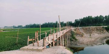 জামালপুরের মাদারগঞ্জে ১৫ গ্রামের মানুষের চলাচলের একমাত্র ভরসা বাশের সাঁকো।