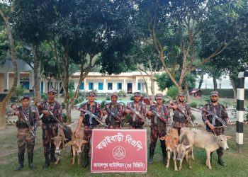 রৌমারীর বড়াইবড়ীতে ভারতীয় অবৈধ গরু আটক – ৫