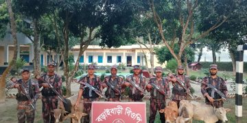 রৌমারীর বড়াইবড়ীতে ভারতীয় অবৈধ গরু আটক – ৫