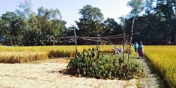 রৌমারীতে অবৈধ ভাবে জমি দখলের চেষ্টার অভিযোগ উঠেছে হামিদ গং বিরুদ্ধে।