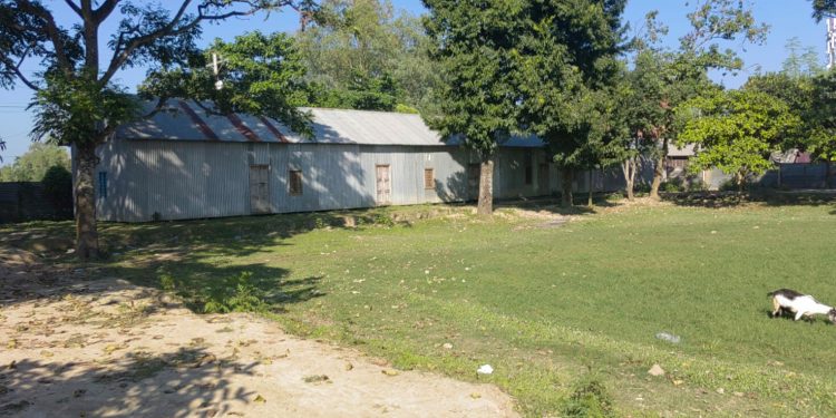 কালিহাতীতে শিল্পপতি ফিরোজের বিরুদ্ধে ২২ শতাংশ জমি দখলের অভিযোগ।