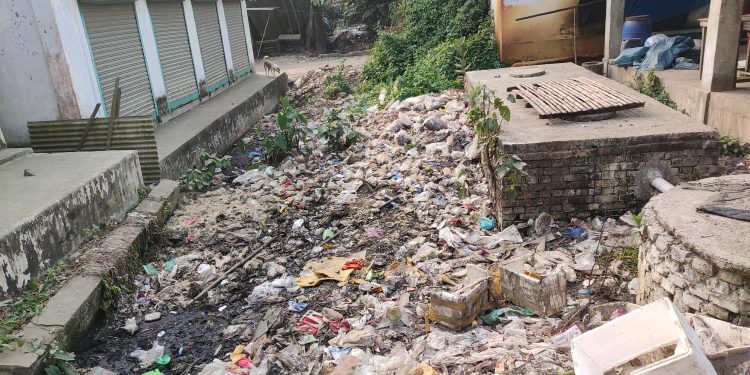 অবৈধ স্থাপনা ও ময়লার ভাগাড়ের দখলে ভূঞাপুরের গোবিন্দাসী খাল।