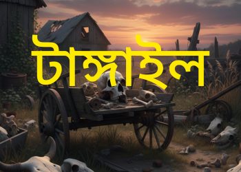 টাঙ্গাইলে পরিত্যক্ত খামার থেকে মাথার খুলি ও হাড় উদ্ধার।