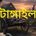 টাঙ্গাইলে পরিত্যক্ত খামার থেকে মাথার খুলি ও হাড় উদ্ধার।