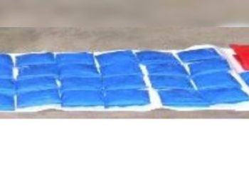 টাঙ্গাইলে তিন হাজার পিস ইয়াবাসহ মাদক কারবারি গ্রেপ্তার।