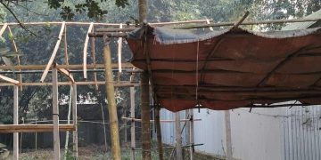 জামালপুরে বিএনপি নেতার জমি দখল নেয়ার চেষ্টা করছে ভূমি দস্যুরা।