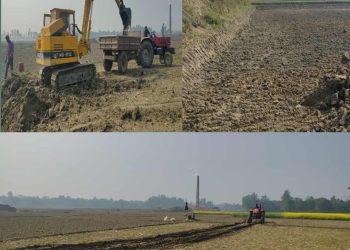 মাদারগঞ্জে ৩ ফসলি জমি থেকে মাটি কেটে ইটভাটায় বিক্রির মহাউৎসব হুমকির মুখে কৃষি জমি ও ফসল উৎপাদন।