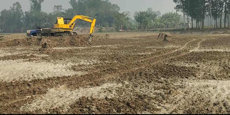 জামালপুরের মাদারগঞ্জে ৩ ফসলী জমি থেকে মাটি বিক্রির মহাউৎসব’ হুমকীতে কৃষি জমি।