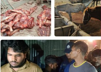 টাঙ্গাইলে ঘোড়া জবাই করে গরুর মাংস হিসেবে বিক্রির অভিযোগে ৪ জন গ্রেপ্তার।