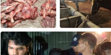 টাঙ্গাইলে ঘোড়া জবাই করে গরুর মাংস হিসেবে বিক্রির অভিযোগে ৪ জন গ্রেপ্তার।
