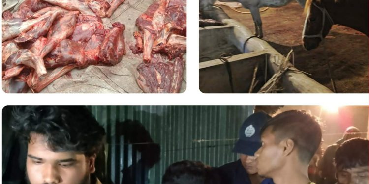 টাঙ্গাইলে ঘোড়া জবাই করে গরুর মাংস হিসেবে বিক্রির অভিযোগে ৪ জন গ্রেপ্তার।