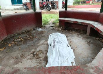 বেড়ায় ধানক্ষেতে পাওয়া গেল এক বৃদ্ধা রিকশাচালকের গলাকাঁটা লাশ।