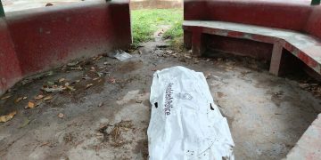 বেড়ায় ধানক্ষেতে পাওয়া গেল এক বৃদ্ধা রিকশাচালকের গলাকাঁটা লাশ।