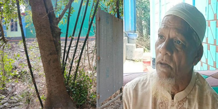 টাঙ্গাইলের নাগরপুরে অসহায় কৃষকের জমি দখলের অভিযোগ।