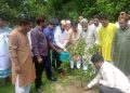 মাদারগঞ্জে বৃক্ষরোপন কর্মসূচি উদ্বোধন।