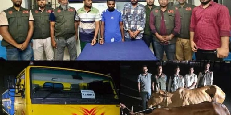 মহাসড়কে গরুবাহী ট্রাকে ডাকাতি: ৪৮ ঘণ্টায় ট্রাক উদ্ধার, গ্রেপ্তার ৩
