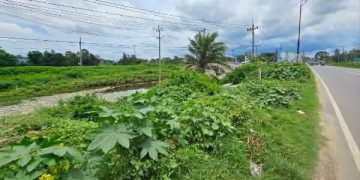 টাঙ্গাইলের রাবনায় আধুনিক বাস টার্মিনাল নির্মাণ কাজের শম্ভুক গতি।