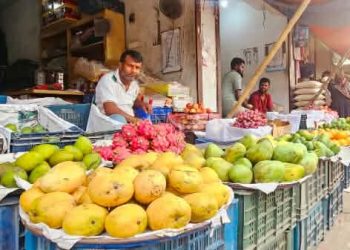 টাঙ্গাইলে মধু মাস: রঙে-রসে পরিপূর্ণ ফলের বাজার।