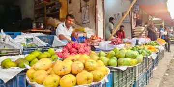 টাঙ্গাইলে মধু মাস: রঙে-রসে পরিপূর্ণ ফলের বাজার।