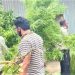 ১১টি গাঁজা গাছসহ একজন গ্রেপ্তার।