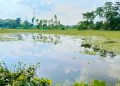 জামালপুরে ২০০ একর ফসলি জমি অনাবাদি, পানিবন্দি শতাধিক পরিবার।।ইউএনওর কাছে এলাকাবাসীর লিখিত আবেদন।