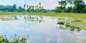 জামালপুরে ২০০ একর ফসলি জমি অনাবাদি, পানিবন্দি শতাধিক পরিবার।।ইউএনওর কাছে এলাকাবাসীর লিখিত আবেদন।
