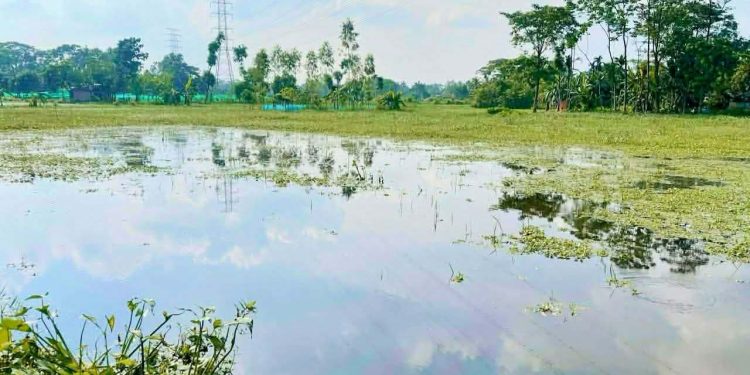 জামালপুরে ২০০ একর ফসলি জমি অনাবাদি, পানিবন্দি শতাধিক পরিবার।।ইউএনওর কাছে এলাকাবাসীর লিখিত আবেদন।