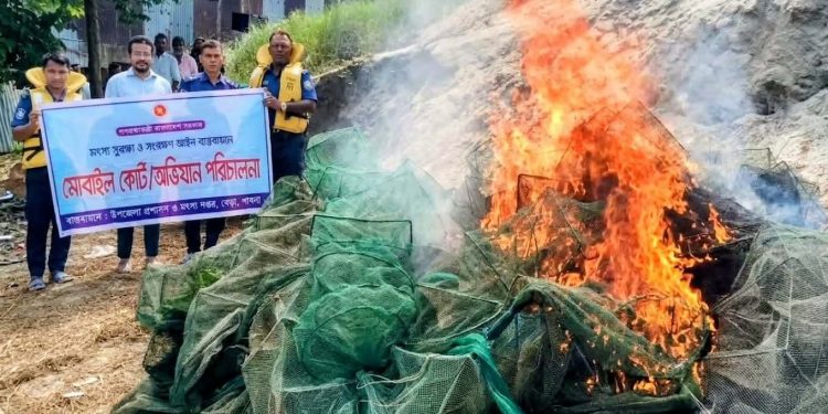 পাবনার বেড়ায় যমুনা ও হুরাসাগরে অভিযান: দেড় লাখ টাকার নিষিদ্ধ জাল জব্দ।