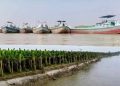পাবনার ভাঁড়ারায় চায়না কাটার দিয়ে অবাধে বালু উত্তোলন: ভাঙনে বিলীন ফসলি জমি, নেপথ্যে শক্তিশালী সিন্ডিকেট।