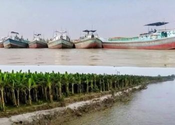 পাবনার ভাঁড়ারায় চায়না কাটার দিয়ে অবাধে বালু উত্তোলন: ভাঙনে বিলীন ফসলি জমি, নেপথ্যে শক্তিশালী সিন্ডিকেট।