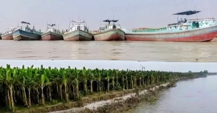 পাবনার ভাঁড়ারায় চায়না কাটার দিয়ে অবাধে বালু উত্তোলন: ভাঙনে বিলীন ফসলি জমি, নেপথ্যে শক্তিশালী সিন্ডিকেট।