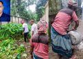 টাঙ্গাইলে নগরায়ন গড়তে স্বেচ্ছাসেবী ফোরামের উদ্যোগে মাসব্যাপী পরিছন্নতা অভিযান।