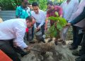 বেড়ায় বৃক্ষরোপণ ও গাছের চারা বিতরণ কর্মসূচি অনুষ্ঠিত।