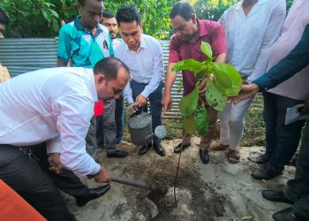 বেড়ায় বৃক্ষরোপণ ও গাছের চারা বিতরণ কর্মসূচি অনুষ্ঠিত।