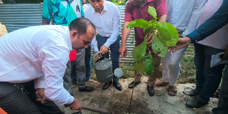 বেড়ায় বৃক্ষরোপণ ও গাছের চারা বিতরণ কর্মসূচি অনুষ্ঠিত।