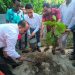 বেড়ায় বৃক্ষরোপণ ও গাছের চারা বিতরণ কর্মসূচি অনুষ্ঠিত।