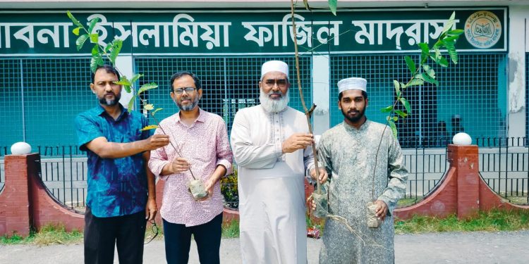 ফলাফলের সাফল্য ছাপিয়ে সবুজের বার্তা: পাবনা ইসলামিয়া ফাজিল মাদ্রাসার অনন্য দৃষ্টান্ত।