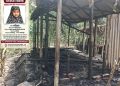 জামালপুরের মাদারগঞ্জে নাতনী নিখোঁজের দুইদিন পর’গোয়াল ঘরে অগ্নিদগ্ধে গরু ও ছাগলের মৃত্যু।