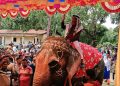 রাজকীয় সংবর্ধনায় সিক্ত জামথল টেকনিক্যাল এন্ড বিএমটি কলেজের অধ্যক্ষ রফিকুল ইসলাম।