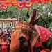 রাজকীয় সংবর্ধনায় সিক্ত  জামথল টেকনিক্যাল এন্ড বিএমটি কলেজের অধ্যক্ষ রফিকুল ইসলাম।