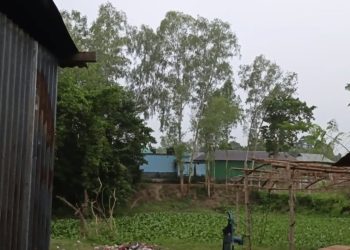 মাদারগঞ্জে হালকা বৃষ্টিতে শীতের আলিঙ্গন, আবহাওয়ায় শীতের আমেজ।