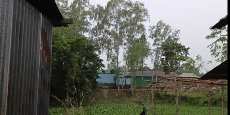 মাদারগঞ্জে হালকা বৃষ্টিতে শীতের আলিঙ্গন, আবহাওয়ায় শীতের আমেজ।