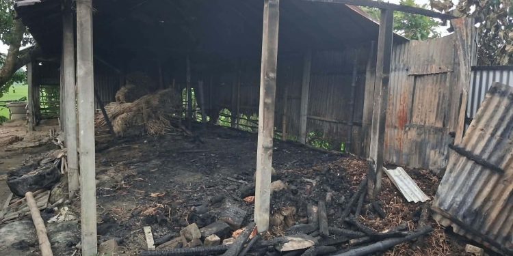 জামালপুরের মাদারগঞ্জে গোয়াল ঘরে অগ্নিকান্ডে ৪ গরু’র মৃত্যু’ দিশেহারা কৃষকের পরিবার।